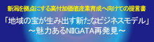 新潟を拠点にする高付加価値産業育成へ向けての提言書　地域の宝が生み出す新たなビジネスモデル　?魅力あるNIIGATA再発見?