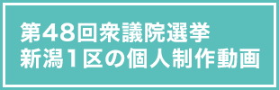 第48回衆議院選挙